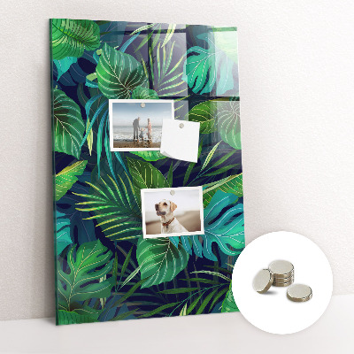 Tabule na magnety Exotické listy