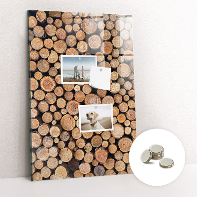 Skleněná magnetická tabule Kmeny stromů