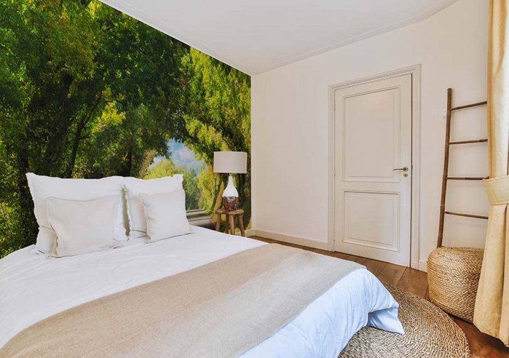 3D nástěnné malby